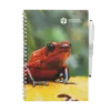 MOYU Erasable Notebook A5 - Reddish Frog