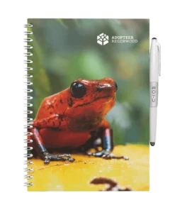 MOYU Erasable Notebook A5 - Reddish Frog